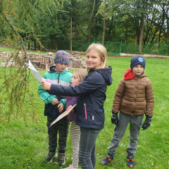 Tajenka Lesní stezky ve školní zahradě