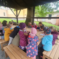 Tajenka Lesní stezky ve školní zahradě