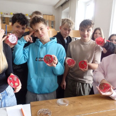 Kultivace bakterií 8.,9. třída