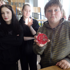 Kultivace bakterií 8.,9. třída