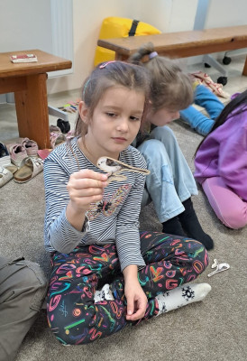 Povídání o ptačí říši