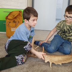 Ze života zvířat – program CEV Dřípatka
