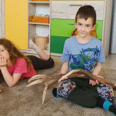 Ze života zvířat – program CEV Dřípatka
