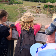 3. třída ZOO Praha 4.6. 2026