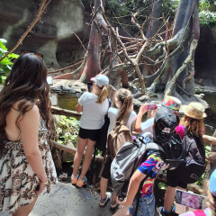 3. třída ZOO Praha 4.6. 2026