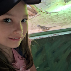 3. třída ZOO Praha 4.6. 2026