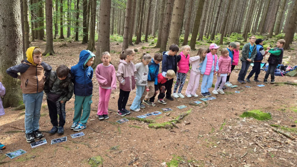 Za tajemstvím lesa (2.třída).