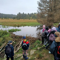 Adaptační pobyt V. třídy