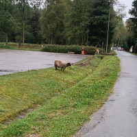 Adaptační pobyt VI. ročníku