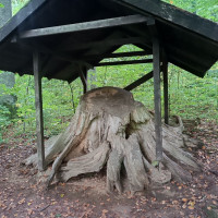 Adaptační pobyt VI. ročníku