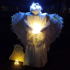 Rozsvícení vánočního stromu