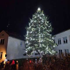 Rozsvícení vánočního stromu