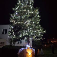 Rozsvícení vánočního stromu