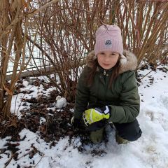 ŠD zima zima zima je tu...