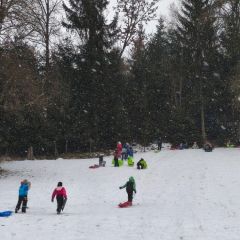 ŠD zima zima zima je tu...