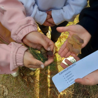 Lesní pedagogika v 2.B