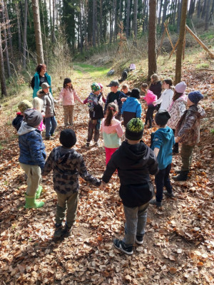 Lesní pedagogika v 2.B