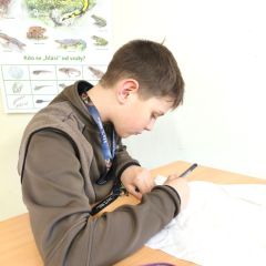 Jaro v ŠD