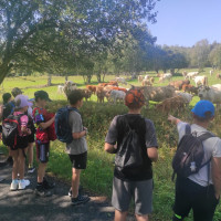 Adaptační pobyt 6. tříd
