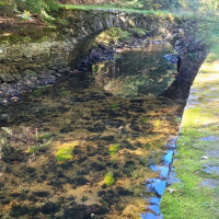 Terénní výukový program NP Šumava