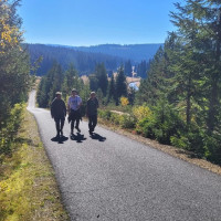 Terénní výukový program NP Šumava