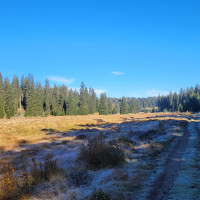 Terénní výukový program NP Šumava