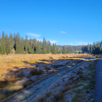 Terénní výukový program NP Šumava