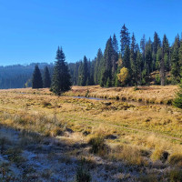 Terénní výukový program NP Šumava