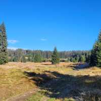 Terénní výukový program NP Šumava