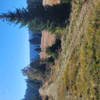 Terénní výukový program NP Šumava