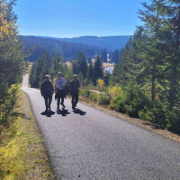 Terénní výukový program NP Šumava