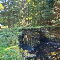 Terénní výukový program NP Šumava