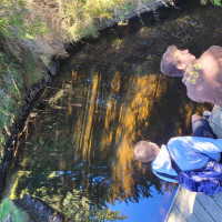 Terénní výukový program NP Šumava