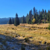Terénní výukový program NP Šumava