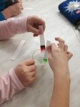 IMG_20180205_115537.jpg