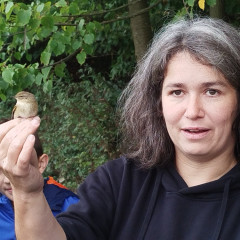 Ukázka odchytu ptáků