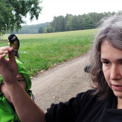 Ukázka odchytu ptáků