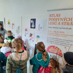 Návštěva světa podivných hub