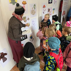 Český Krumlov - Houby