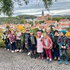 Český Krumlov - Houby