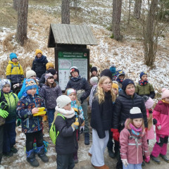 Poznáváme Blanský les - Holubovské hadce