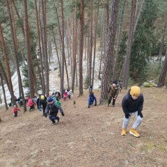 Poznáváme Blanský les - Holubovské hadce