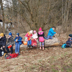 Poznáváme Blanský les - podél Vltavy a Křemžského potoka