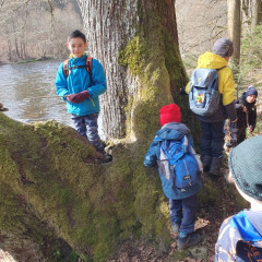 Poznáváme Blanský les - podél Vltavy a Křemžského potoka