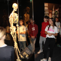 Lucy & Selam a Body Worlds