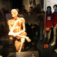 Lucy & Selam a Body Worlds