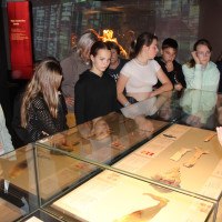 Lucy & Selam a Body Worlds