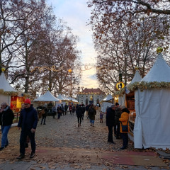 Adventní Drážďany