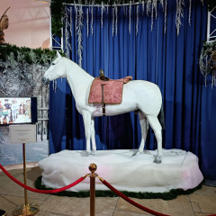 Adventní Drážďany