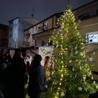 Rozsvícení vánočního stromečku